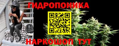 стаф Пыть-Ях