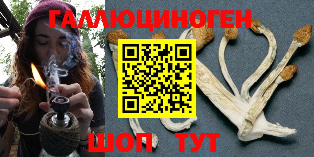 Псилоцибиновые грибы Magic Shrooms Сорочинск