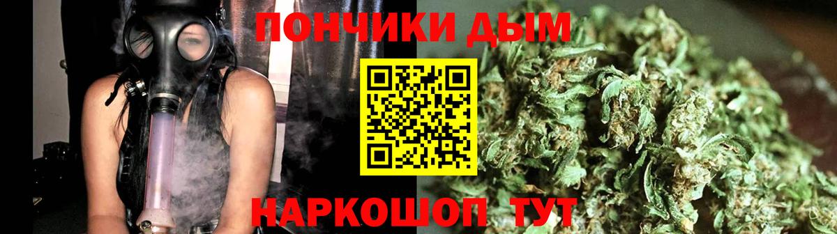 Конопля гибрид Сорочинск
